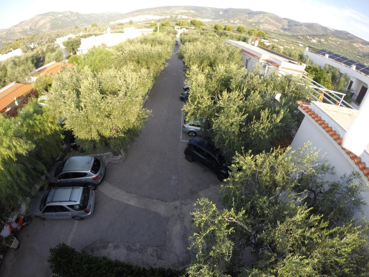 Residence Adriatico Mattinata Buitenkant foto