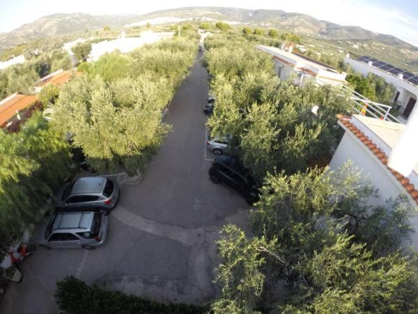 Residence Adriatico Mattinata Buitenkant foto